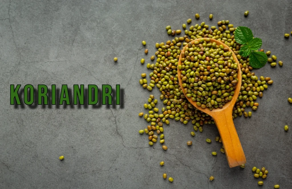 Koriandri: The Herb That Elevates Your Culinary Creations