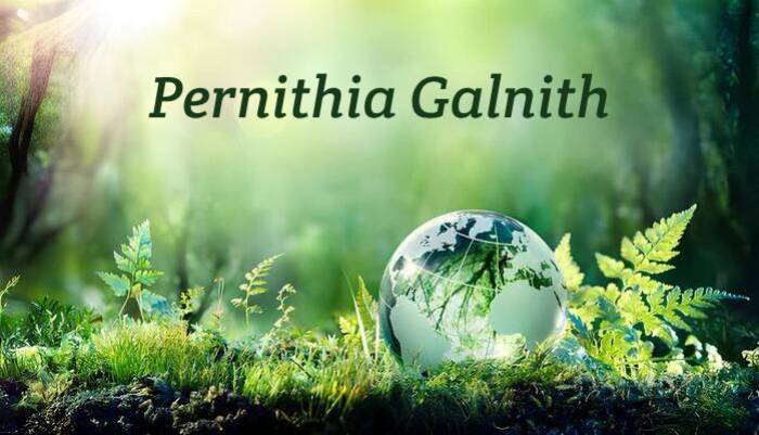 Pernithia Galnith: Where It Thrives and Why