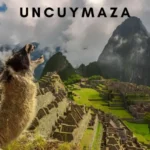 Uncuymaza: A Journey into a Unique Tradition